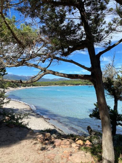 Villa Pacienta Bonifacio (Corsica) Exterior foto